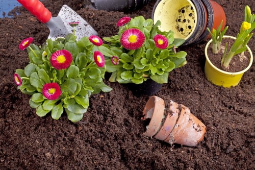 Soft landscaping work with turf and planting in a Gipsyhill garden