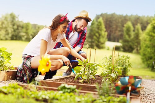 Garden makeover planning and landscaping ideas for a Gipsy Hill home