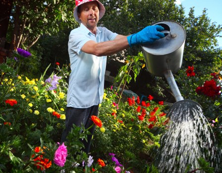 Professional discussion of a landscaping complaint on site