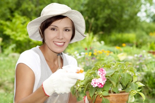 Soft landscaping features for a compact local garden