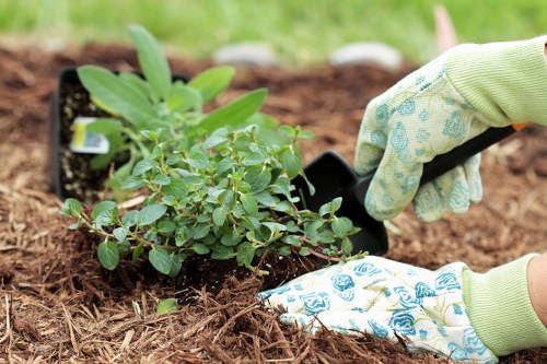 Landscape design elements in Gipsyhill garden setting