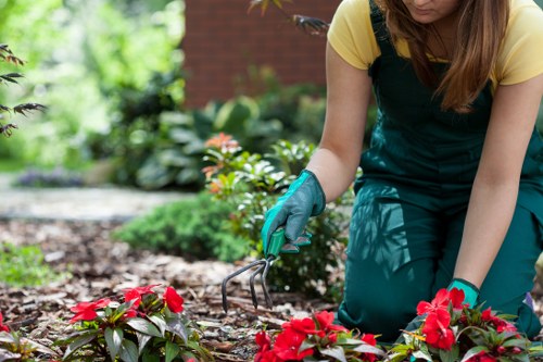 Trained landscaper wearing PPE while working on a garden project
