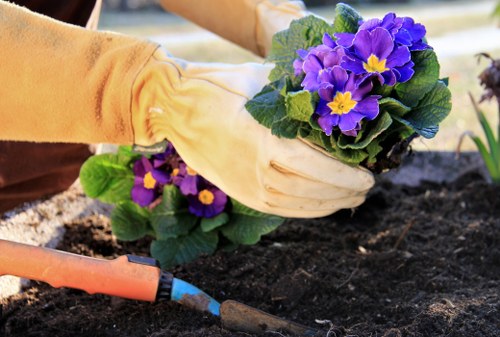 Example garden tidy-up job for a Gipsyhill property