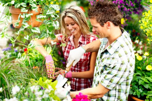 Outdoor landscaping workers assessing risks before starting maintenance tasks