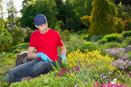 Cookie policy update notice for Landscaping Gipsyhill website visitors