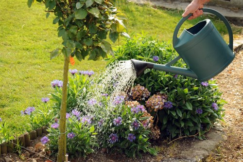 Different patio paving material options for local homes