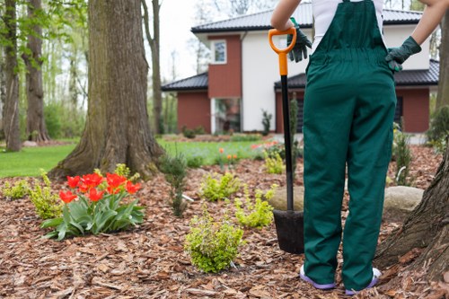 Structured outdoor space and pathways in Landscaping Gipsyhill