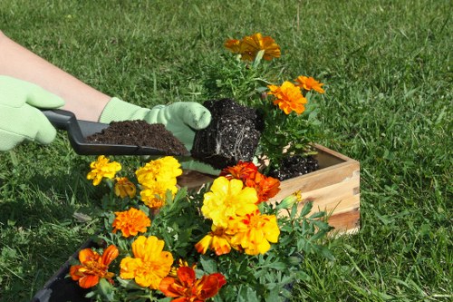 Screen reader user navigating landscaping services content