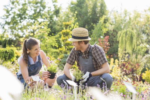 Planning a garden layout with paths, lawn and planting areas